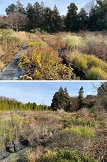 一般社団法人ジャパン・ガーデナーズ・ネットワークのプレスリリース画像1