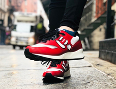 サンガッチョジャパン株式会社のプレスリリース画像8