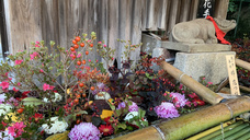 ブライトンホテルズのプレスリリース画像8