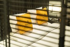 ブライトンホテルズのプレスリリース画像5