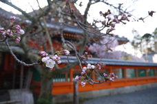 ブライトンホテルズのプレスリリース画像3