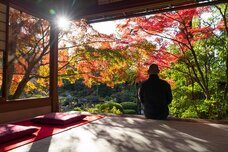 ブライトンホテルズのプレスリリース画像14