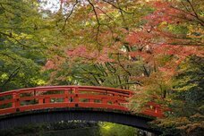 ブライトンホテルズのプレスリリース画像12