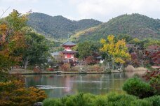 ブライトンホテルズのプレスリリース画像13