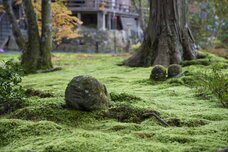 ブライトンホテルズのプレスリリース画像7