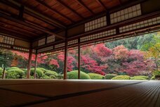 ブライトンホテルズのプレスリリース画像15