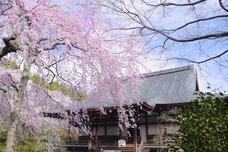 ブライトンホテルズのプレスリリース画像6