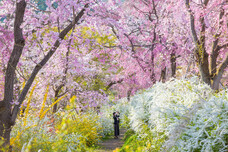 ブライトンホテルズのプレスリリース画像1