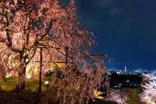 ブライトンホテルズのプレスリリース画像4