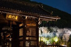 ブライトンホテルズのプレスリリース画像11