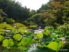 ブライトンホテルズのプレスリリース画像1