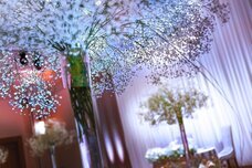 ブライトンホテルズのプレスリリース画像1