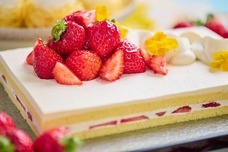 ブライトンホテルズのプレスリリース画像8