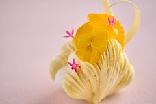 ブライトンホテルズのプレスリリース画像6