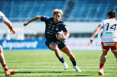 ブライトンホテルズのプレスリリース画像1