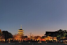 ブライトンホテルズのプレスリリース画像1