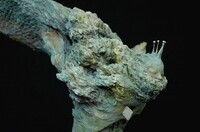 SipkaARTのプレスリリース画像8