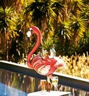 ナカムラフードサービス株式会社のプレスリリース画像7