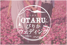 株式会社ラディーブウエディングプロデュースのプレスリリース画像1