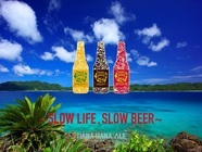 合同会社奄美はなはなエールのプレスリリース画像2