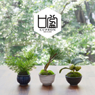 プリマ株式会社のプレスリリース画像1