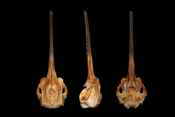 Think Squares Projectのプレスリリース画像1