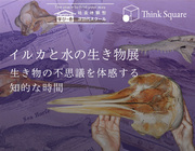 Think Squares Projectのプレスリリース