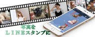 実写スタンプ.comのプレスリリース画像1