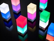 ダイバーシティLLC合同会社のプレスリリース画像1