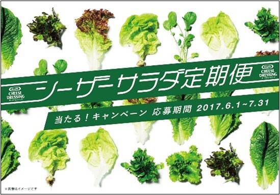 ハインツ日本株式会社のプレスリリース画像3