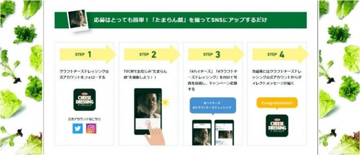 ハインツ日本株式会社のプレスリリース画像4