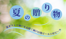 有限会社アイエヌインターナショナルのプレスリリース画像3