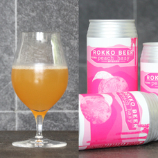 有限会社アイエヌインターナショナルのプレスリリース画像4