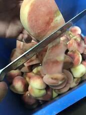 有限会社アイエヌインターナショナルのプレスリリース画像1