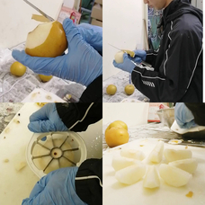 有限会社アイエヌインターナショナルのプレスリリース画像4