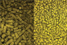 有限会社アイエヌインターナショナルのプレスリリース画像3