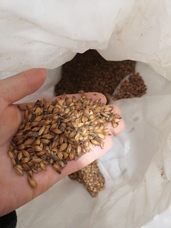 有限会社アイエヌインターナショナルのプレスリリース画像2