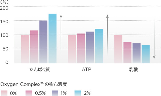 株式会社アインズラボのプレスリリース画像4
