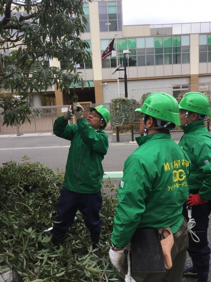 株式会社クイック・ガーデニングのプレスリリース画像1