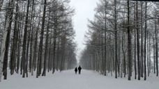 株式会社UNUSのプレスリリース画像8