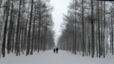 株式会社UNUSのプレスリリース画像1