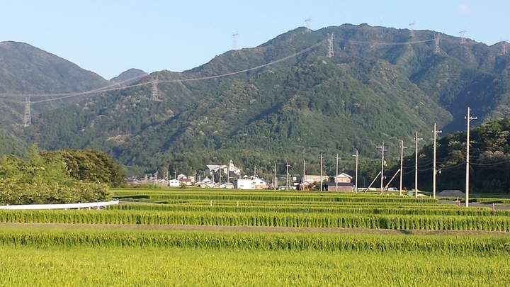 お米農家 かく兵のプレスリリース画像1