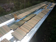 BALIISM Japan株式会社のプレスリリース画像10