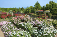 ヒガ・アーツ&amp;メタル株式会社のプレスリリース画像3