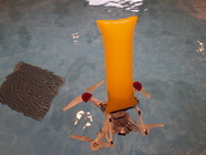 ドローンフロート販売事務局のプレスリリース画像8