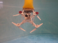 ドローンフロート販売事務局のプレスリリース画像9