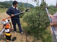 オリーブオイル宮津のプレスリリース画像1