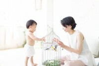 株式会社RETAIL INNOVATIONのプレスリリース画像3