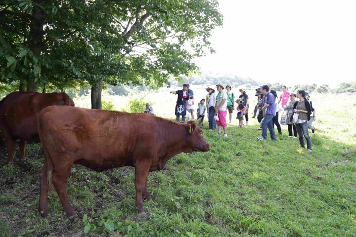 三ツ星ヴィレッジのプレスリリース画像2