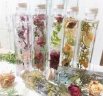 一華房のプレスリリース